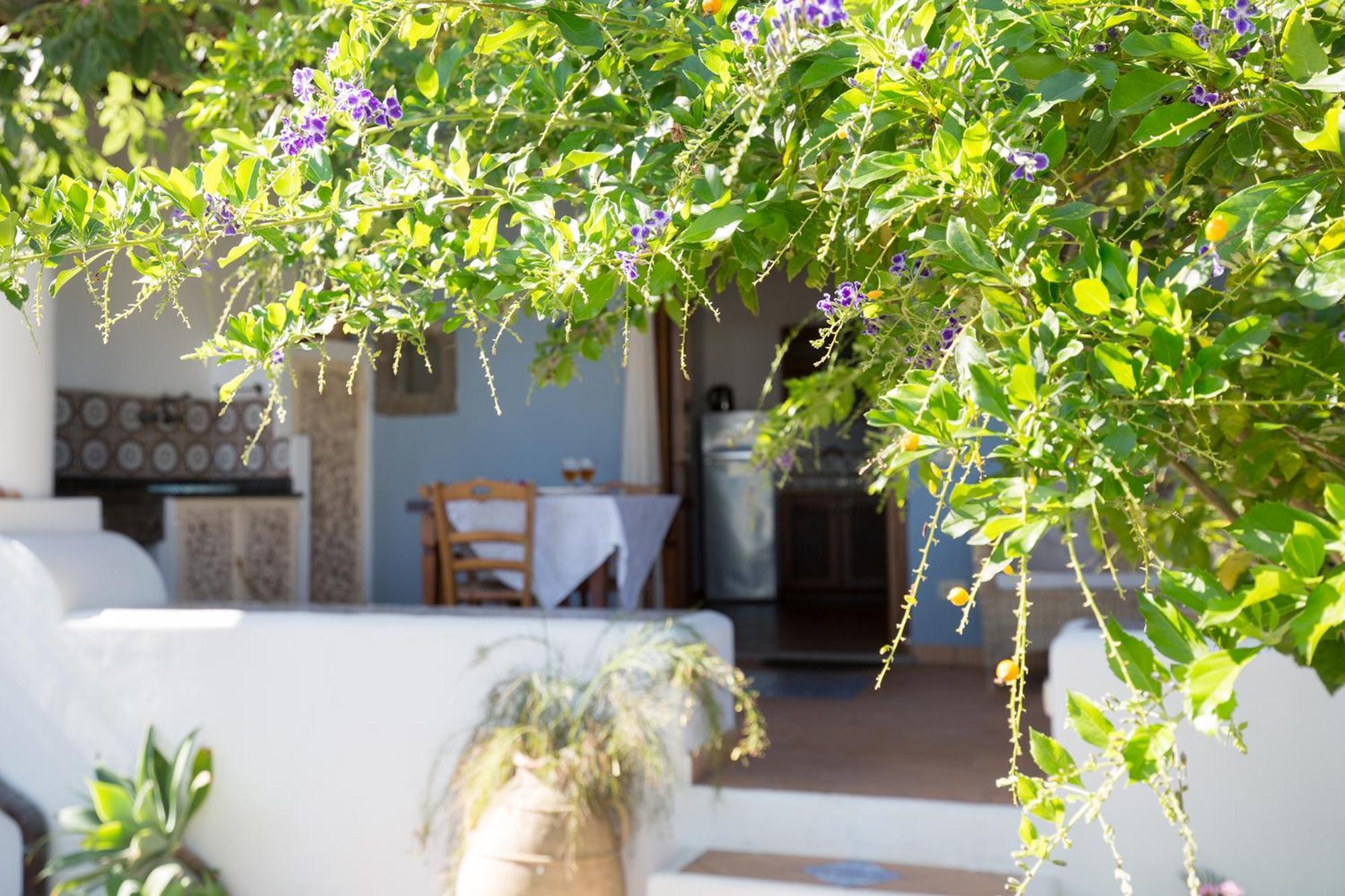 Villa Agrumeto Lipari  Zewnętrze zdjęcie