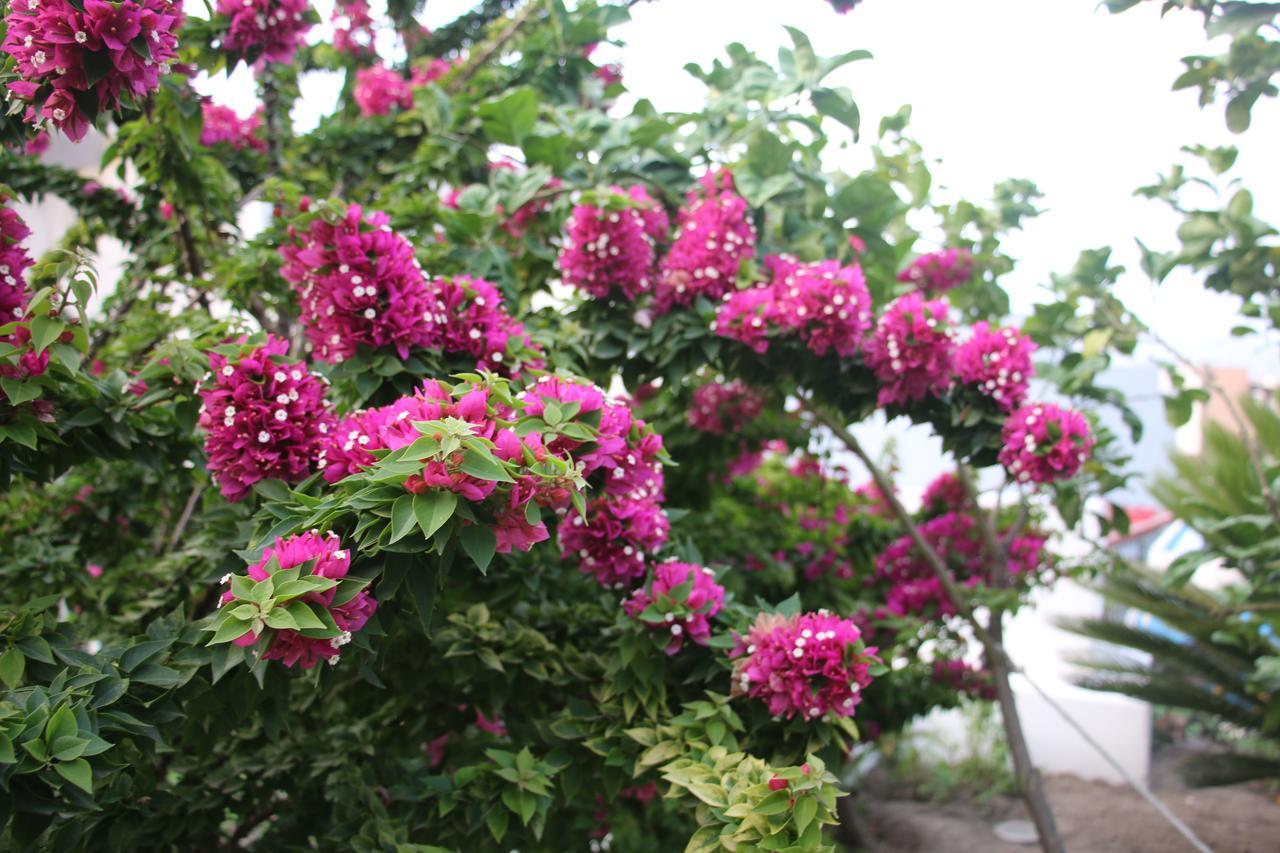 Villa Agrumeto Lipari  Zewnętrze zdjęcie